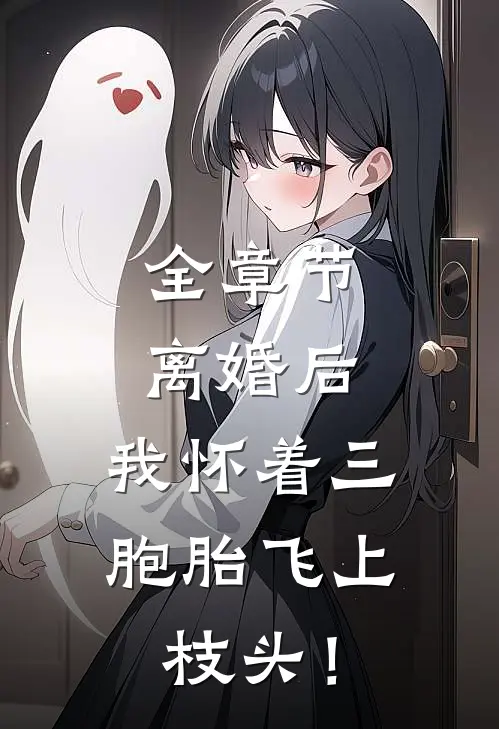 全章节离婚后，我怀着三胞胎飞上枝头！